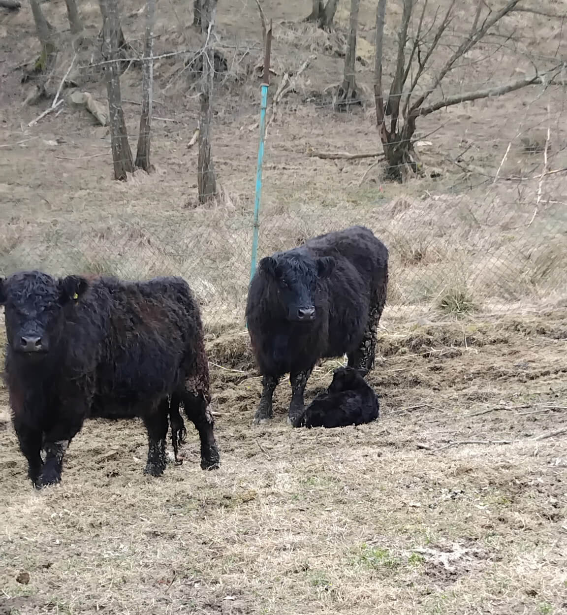 IMG_20260321_221908 (1)